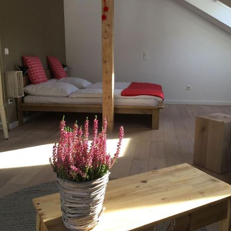 Erikas Haus Lägenhet Münstertal Exteriör bild