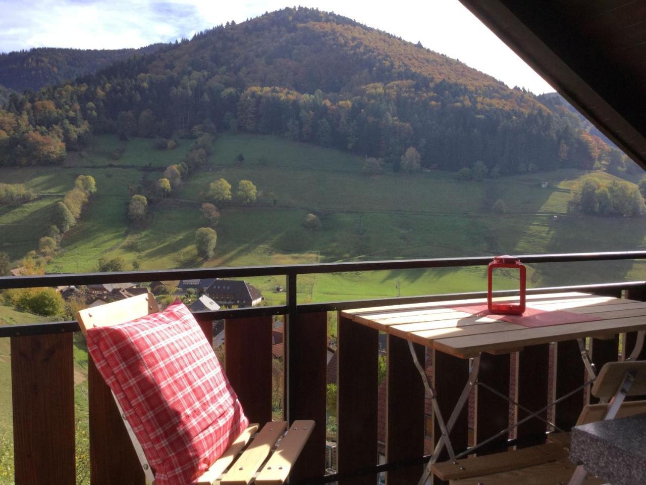 Erikas Haus Lägenhet Münstertal Exteriör bild