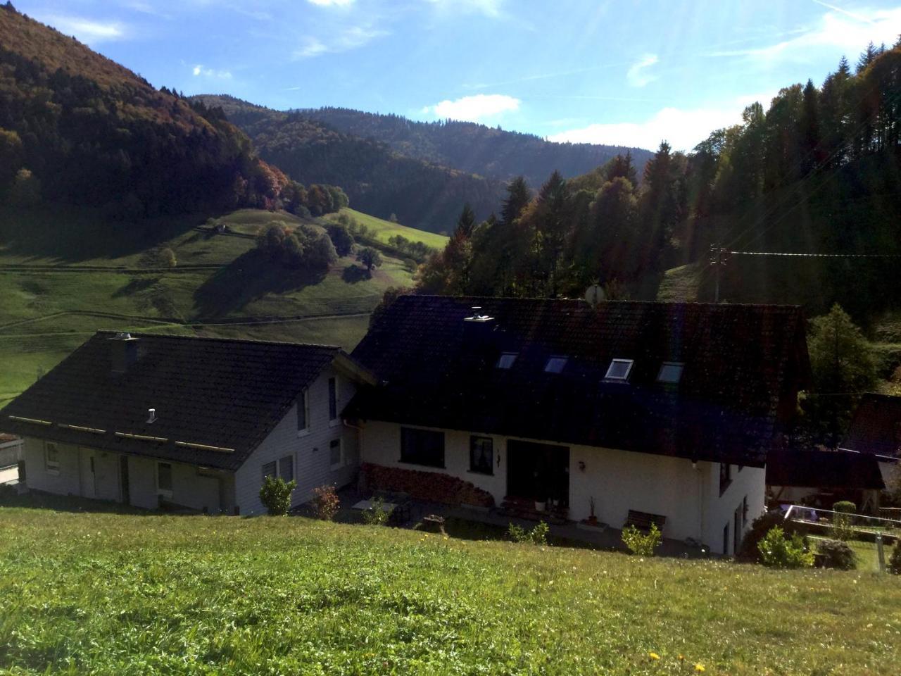 Erikas Haus Lägenhet Münstertal Exteriör bild