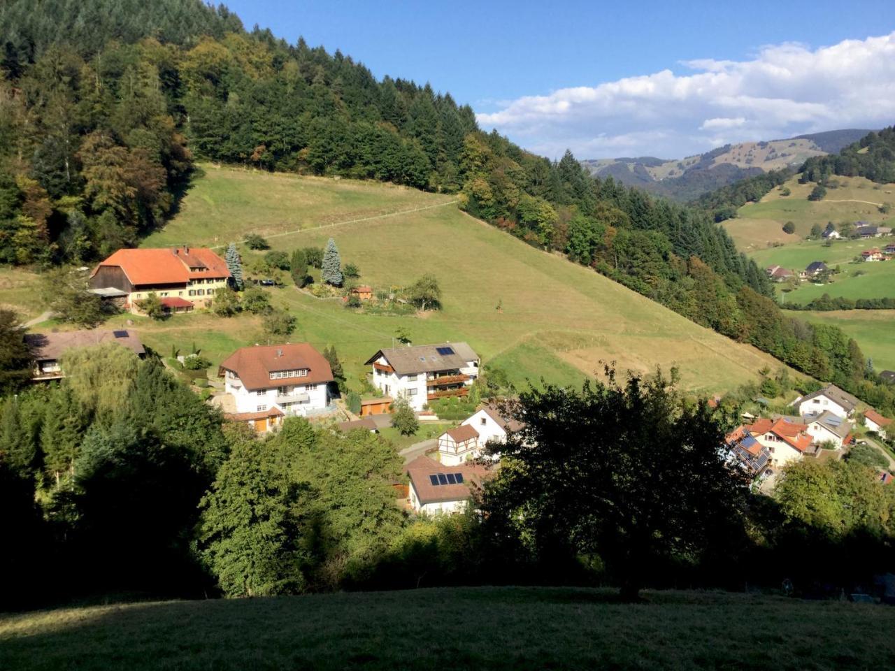 Erikas Haus Lägenhet Münstertal Exteriör bild