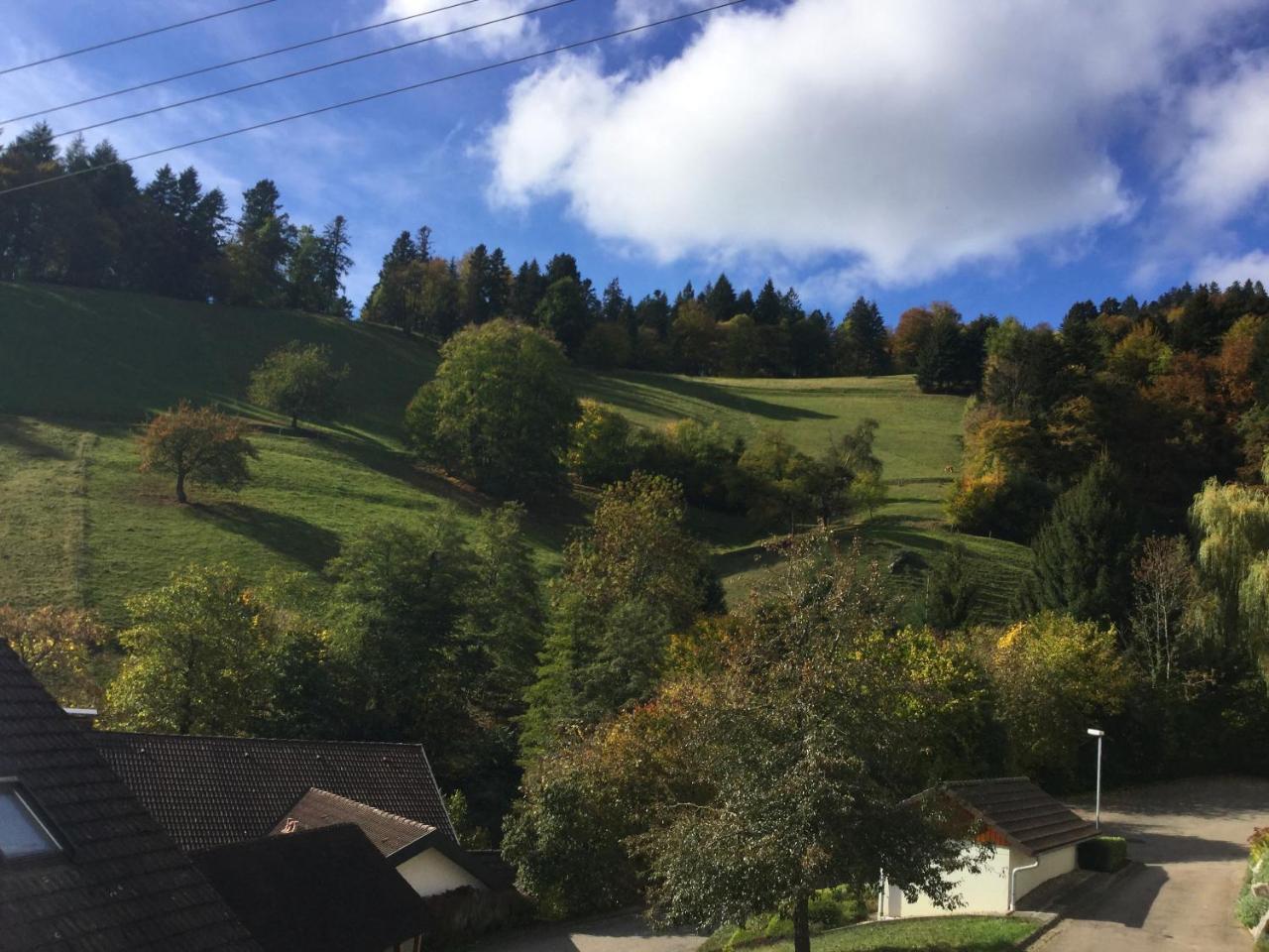 Erikas Haus Lägenhet Münstertal Exteriör bild