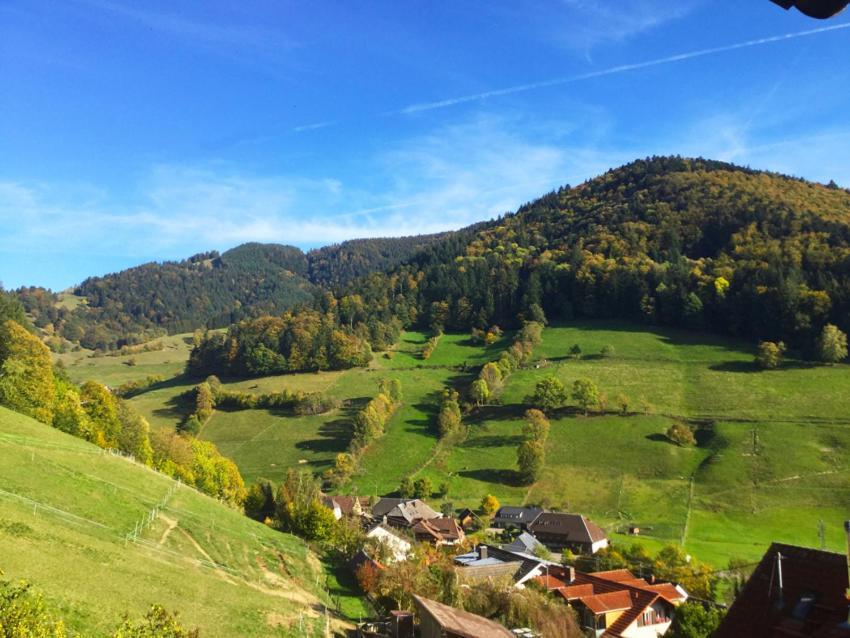 Erikas Haus Lägenhet Münstertal Exteriör bild