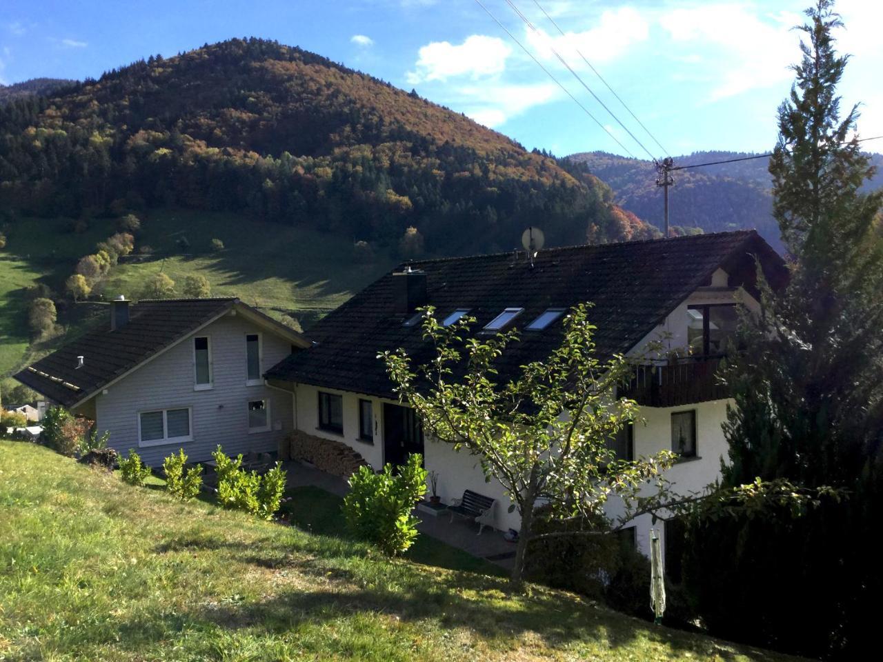 Erikas Haus Lägenhet Münstertal Exteriör bild