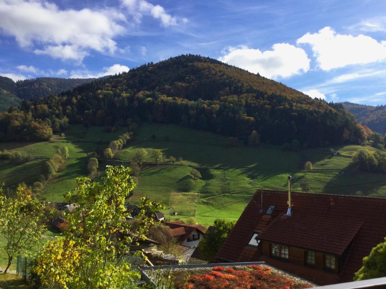 Erikas Haus Lägenhet Münstertal Exteriör bild