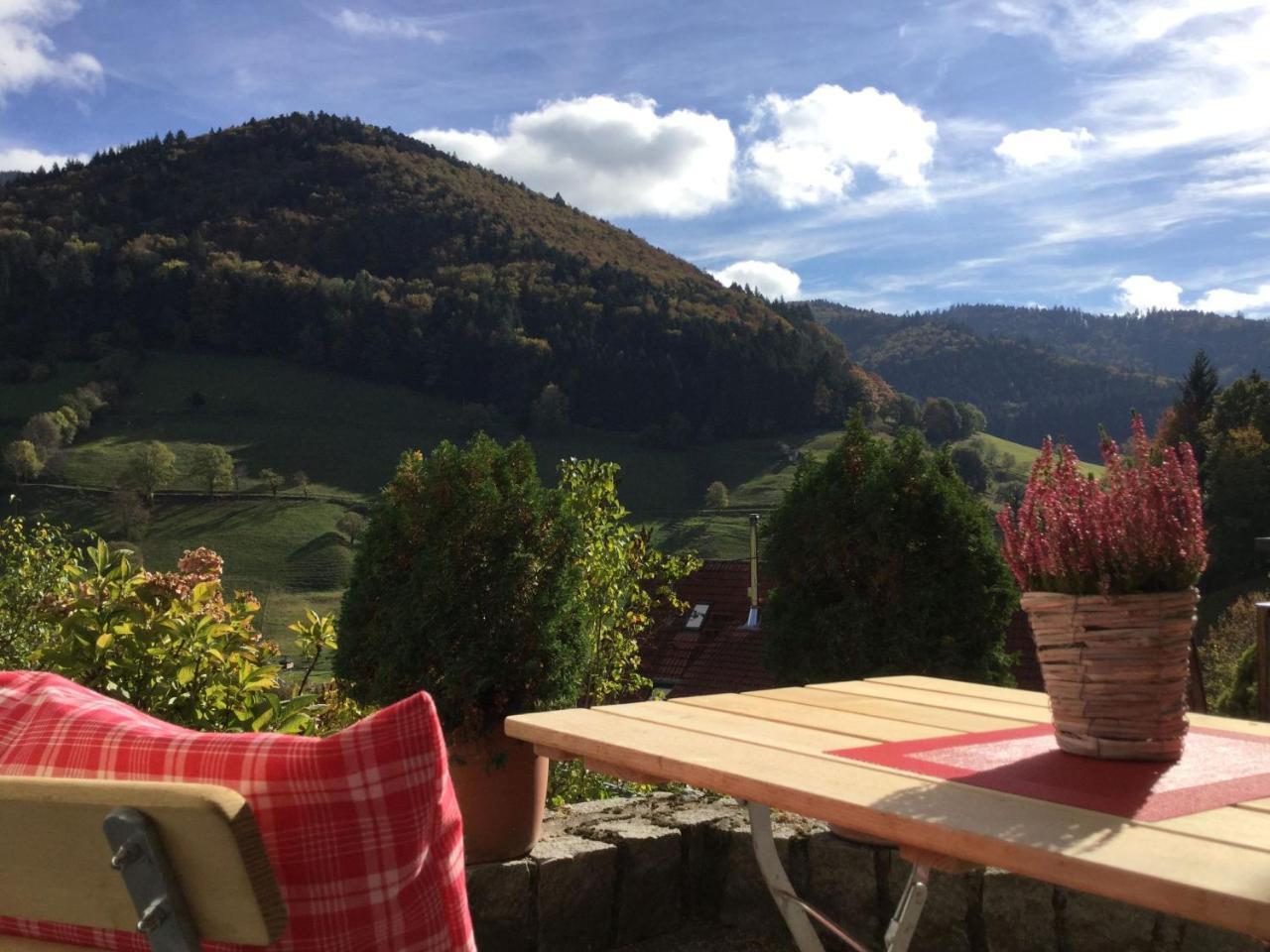 Erikas Haus Lägenhet Münstertal Exteriör bild